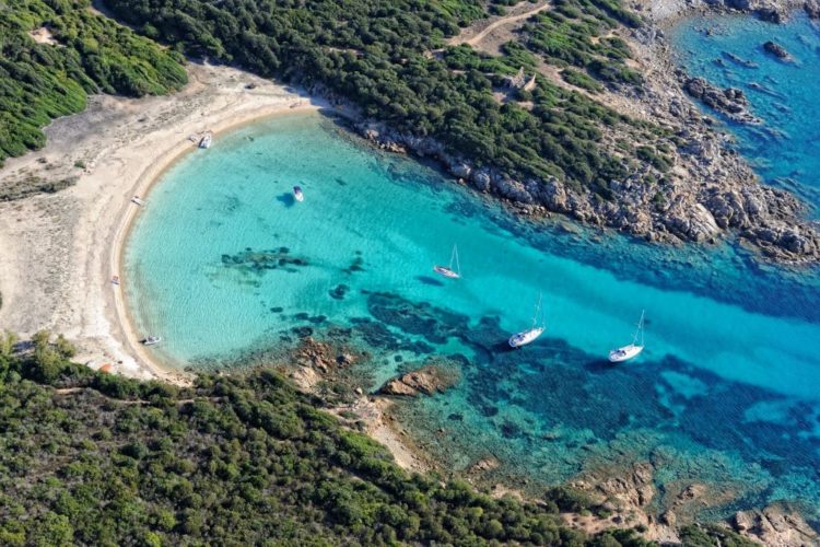 Oleadey-agence-receptive-Bonifacio-destination-Corsica.jpg