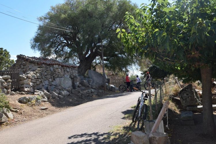 E-Sperienza-paysage-Corse-village-activité.jpg